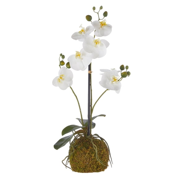 RAZ Imports 23.75" Real Touch White Orchid Flower with Moss Ball