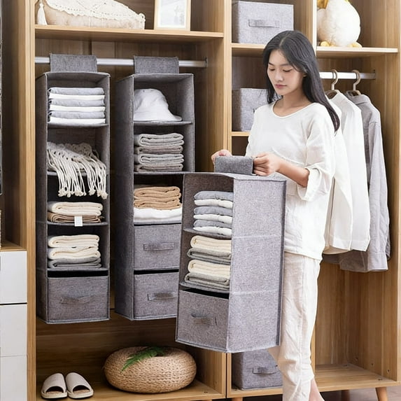 RBCKVXZ 5-Shelf Hanging Closet Organizer, Foldable Closet Organizers and Storage for Wardrobe, Closet, Clothes and Accessories Storage, Non-Woven Fabric, Black