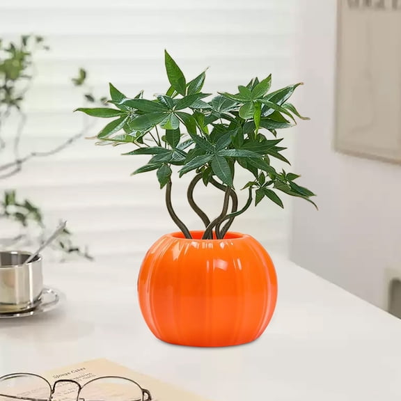 RBCKVXZ Orange Pumpkin Shaped Ceramic Planter Pot, Fall Halloween Decorative Flower Vase for Indoor Tabletop Display