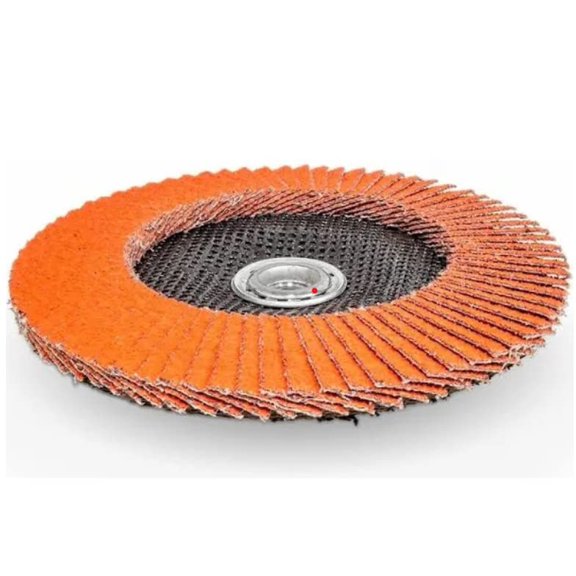 RBG 785 Flap Wheel Grinding Disc