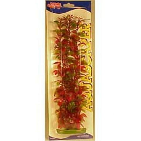 Marina Red Ludwigia Plant - 15" Tall