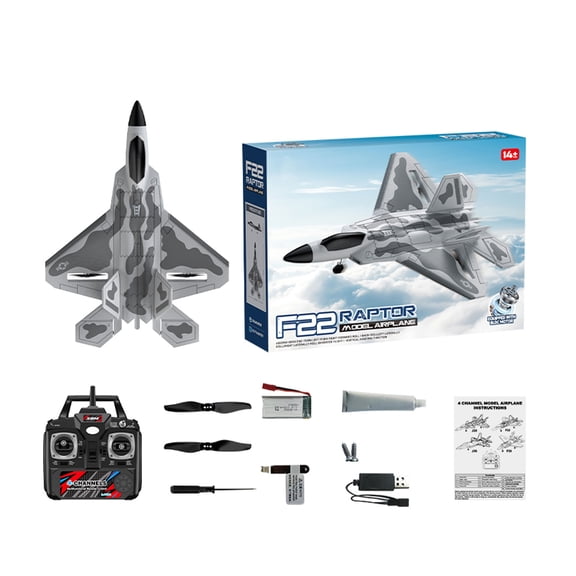 RC Plane 4 Channel Brushless F22 Raptor RC Jet, 2.4GHz Remote Control Airplane, Dual Brushless Motors, LED Lights, EPP Foam Aerobatic Glider for Adults, Standard Edition