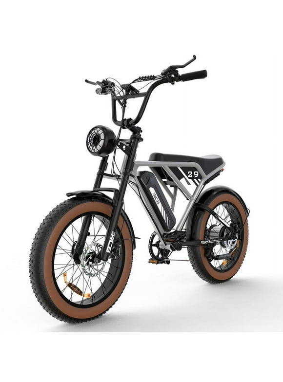 RCB 750W Electric Bike, 48V/15Ah Removable Li-Ion Battery, 20" 4.0 Fat Tire Electric Mountain Bicycle,15.5MPH Ebike for Adults UL2849,Silver