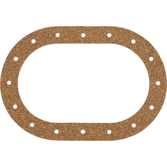 RCI 0111 Fuel Cell Gasket