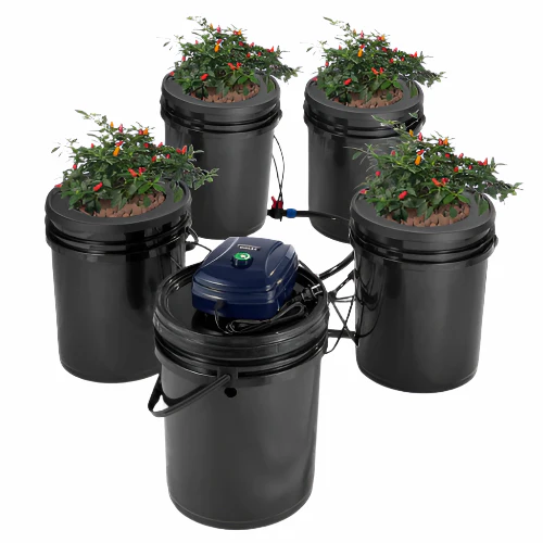 RDWC Hydroponics System 5 Gal 4 Buckets Recirculating Deep Water Culture
