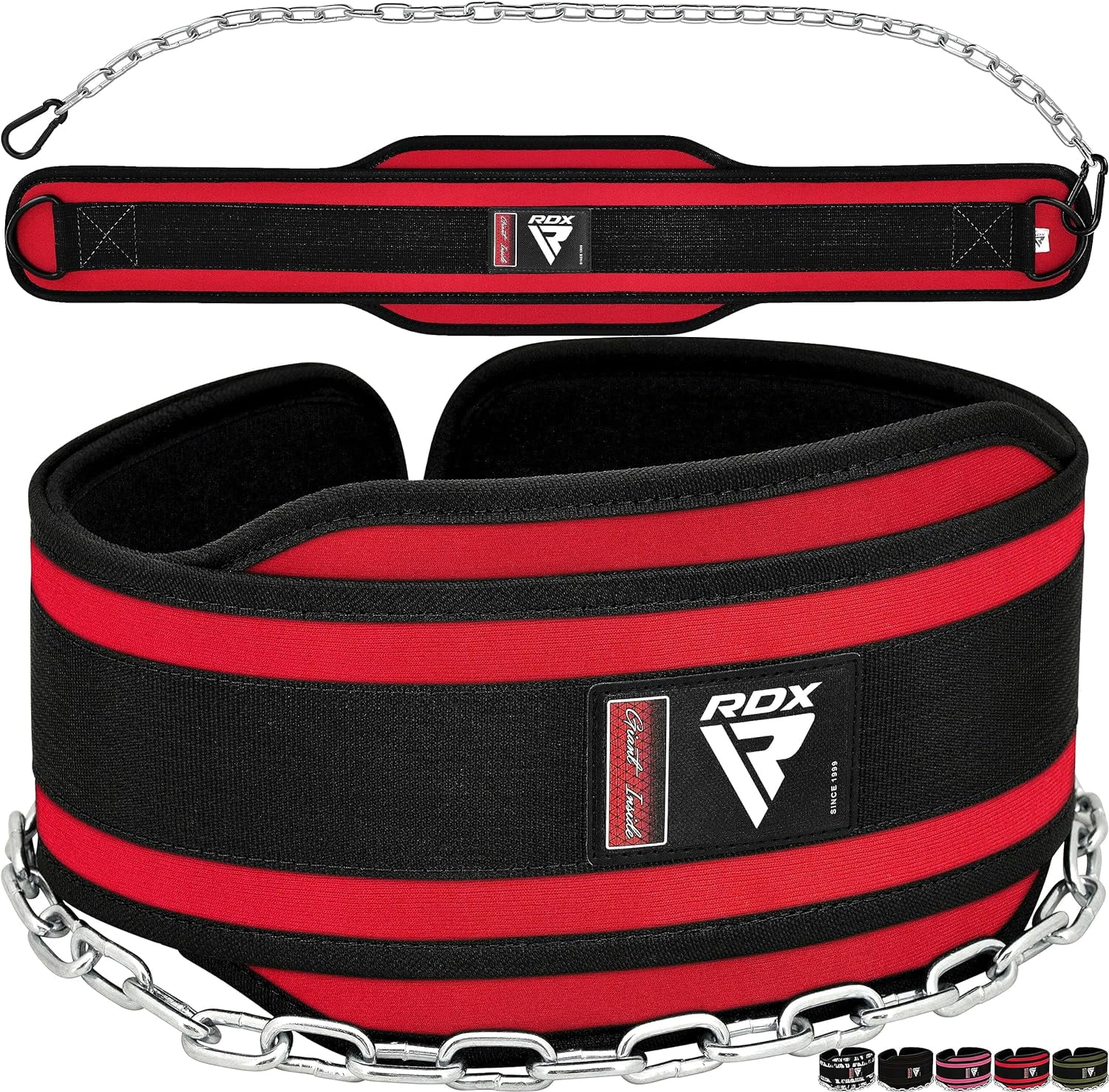 ROAR Fitness Dip Belt Met Ketting Voor Gewichtheffen CrossFit