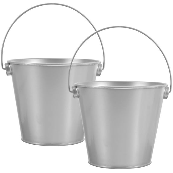 REACHISE 2 Metal Buckets w/ Handle for Plants, Fireplace & More