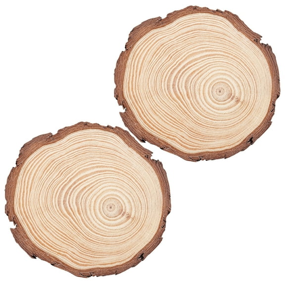 REACHISE 2 Wood Slices with Bark 10cm Coasters for Rustic Wedding Crafts