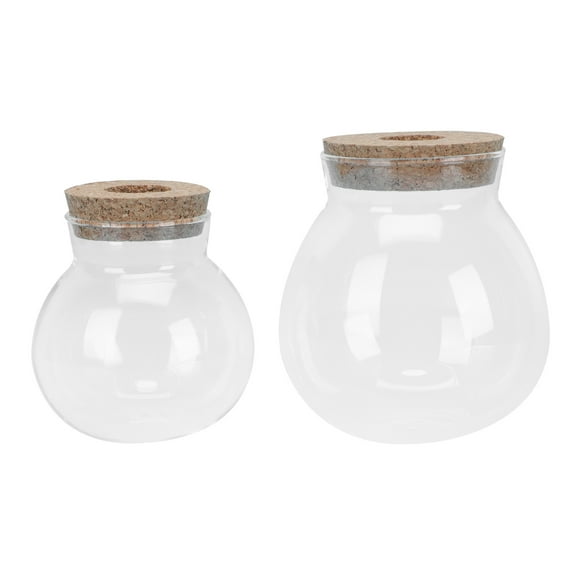 REACHISE Desktop Glass Terrariums Hydroponic Planter with Wood Lid for Decor