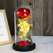 RECUTMS Beauty and The Beast Artificial Rose Flowers Red Glass Rose Silk with Led Light Mother Gift