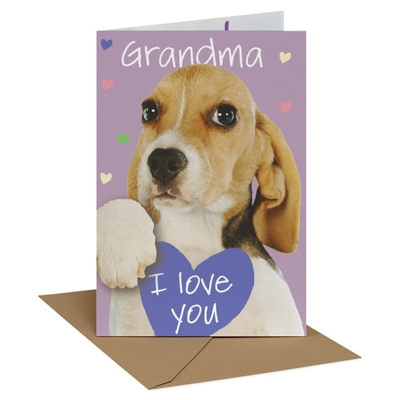 Recycled Paper Greetings Birthday Card for Grandmother (Loving Paws)