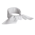 thumbnail image 1 of RED KAP Unisex Neckerchief - NP12WH, 1 of 1