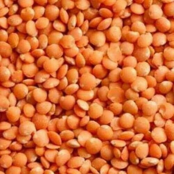 RED LENTILS BEANS - 4 LB