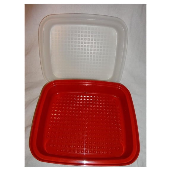 RED Large Season Serve Meat Marinade Storage Container