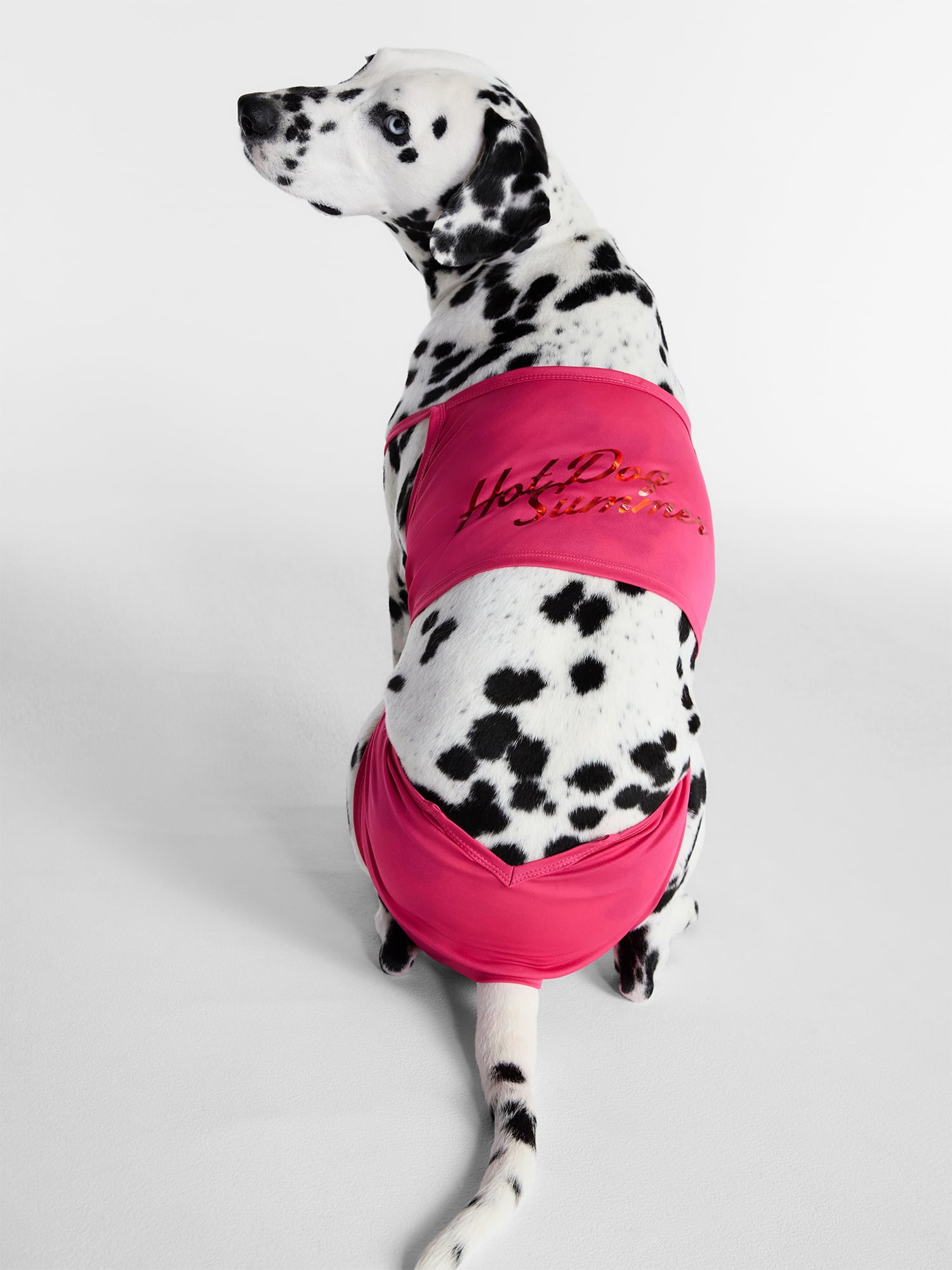 Hot Dog Summer By Megan Thee Stallion Bubblegum Barkini Dog Bikini, Pink, Medium