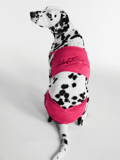 Hot Dog Summer By Megan Thee Stallion Bubblegum Barkini Dog Bikini, Pink, Extra Small
