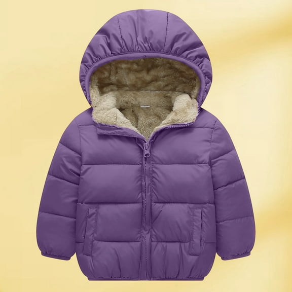 REDARER Baby Toddler Padded Hooded Jacket Boys Girls Winter Coat Insulated Plush Lined Outerwear Warm Clothing,Size:2-3 Years