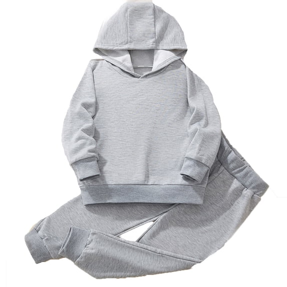 REDARER Boys Active Set 2PC, Basic Hoodie & Joggers, Sports Play Outfit, Kids Sets Clothes, for Size 2-3 Years