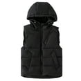 thumbnail image 1 of REDARER Kids Hooded Puffer Vest, Warm Insulated Sleeveless Jacket for Boys and Girls, Padded Outdoor Wear for Cold Weather,Size:3-4 Years, 1 of 3