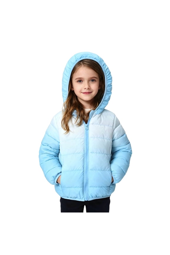 Boys Winter Warm Gradient Color Down Jacket with Hood Kids Coat Windproof Outdoor Play Cold Weather Coats for Children,Size:2-3 Years