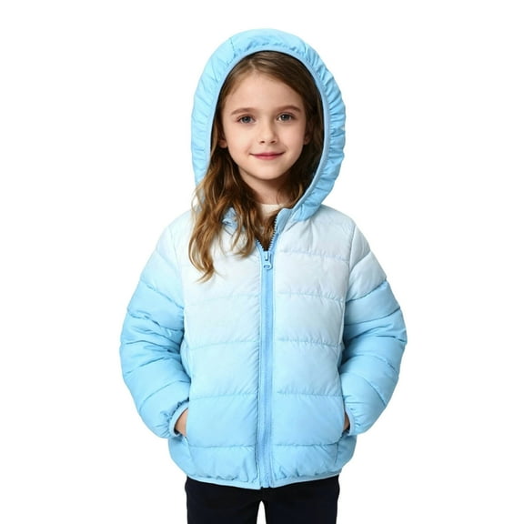 REDARER Boys Winter Warm Gradient Color Down Jacket with Hood Kids Coat Windproof Outdoor Play Cold Weather Coats for Children,Size:9-10 Years