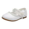 thumbnail image 1 of REDARER Girl Shoes Small Leather Shoes Single Shoes Dance Shoes Girls Performance Shoes,6-7 Years, 1 of 9