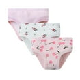 thumbnail image 1 of REDARER Girls' 3-Pack Cotton Briefs Cute Rainbow & Floral Print Comfortable Underwear for Kids,12-18 Months, 1 of 4