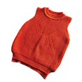 thumbnail image 1 of REDARER Girls Knit Vest Soft Warm Winter Sleeveless Pullover Top for Kids Cozy Casual Wear Everyday Outfit Layering Piece,Size:3-4 Years, 1 of 3