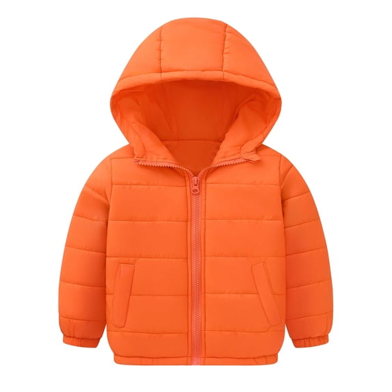 REDARER Kids Hooded Winter Coat, Thicken Windproof Jacket for Toddler Boys Girls, Zipper Warm Outwear,Size:2-3 Years