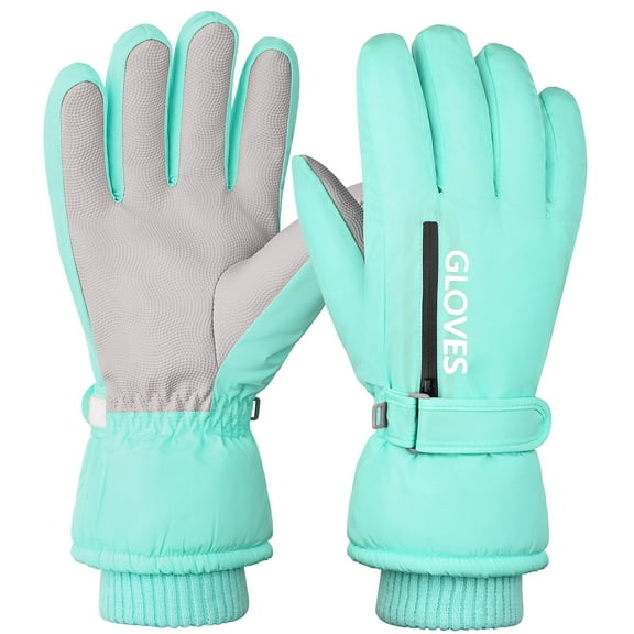 REDESS Women's Waterproof Touchscreen Winter Ski Snowboard Gloves, Black
