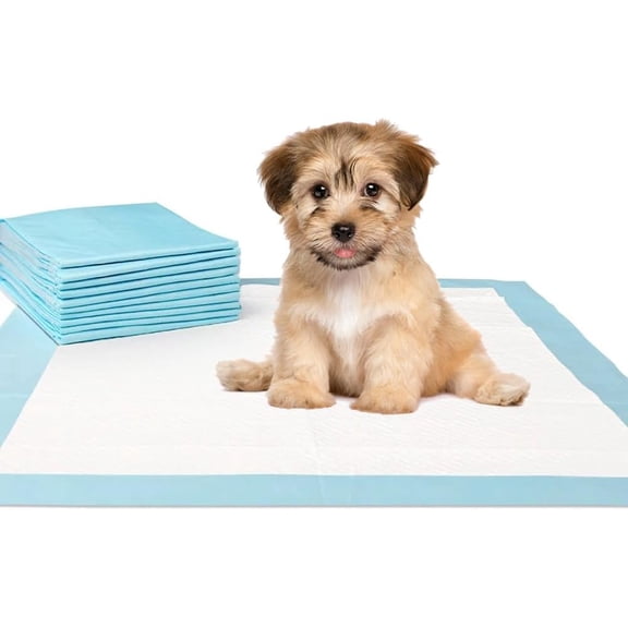 REDLEAF Training Pads for Dog and Puppy, Leak-Proof 5-Layer Pee Pads with Quick-Dry Surface for Potty Training 20 Count X-Large (28x 34In), TP-L