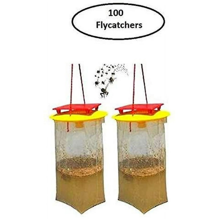 Red top fly catcher online