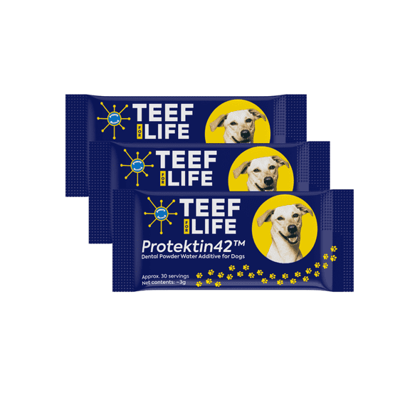 REFILL PACKETS - Protektin42 - Prebiotic Dental Powder for Dogs, Daily Dental Care, Clinically-Proven Formula Naturally Freshens Breath and Supports Dental Health, 90 Servings