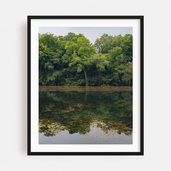 REFLECTING - Austin Texas Photography Nature Forest Landscape Scenic Autumn Black Framed Wall Art Print 8 x 10 inches