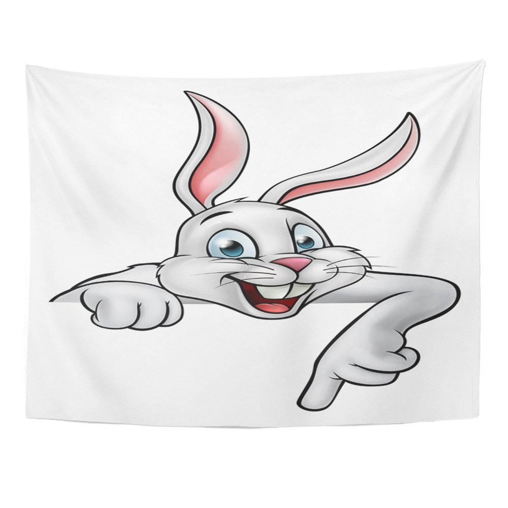 Cartoon Rabbit Pointing REFRED RABIT Cartoon White Easter Bunny Rabbit Pointing Character ...