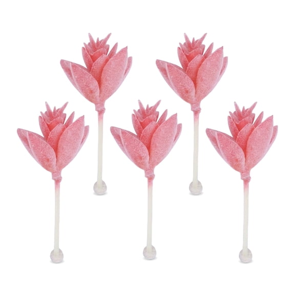 REGALWOVEN 5 Pcs Realistic Flocked Artificial Succulents - Faux Echeveria Picks for DIY Decor Lotus Deep Pink 3.5 in