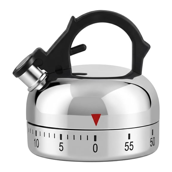 REGALWOVEN 60 Minute Kitchen Timer, Digital Visual Timer for Student and Adults, Loud Alarm Countdown Clock for Meeting and Learning Silver