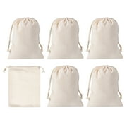 REGALWOVEN 7x5 Coin Sacks Bag, 6pcs Deposit Change Transit Bags Style 2, White