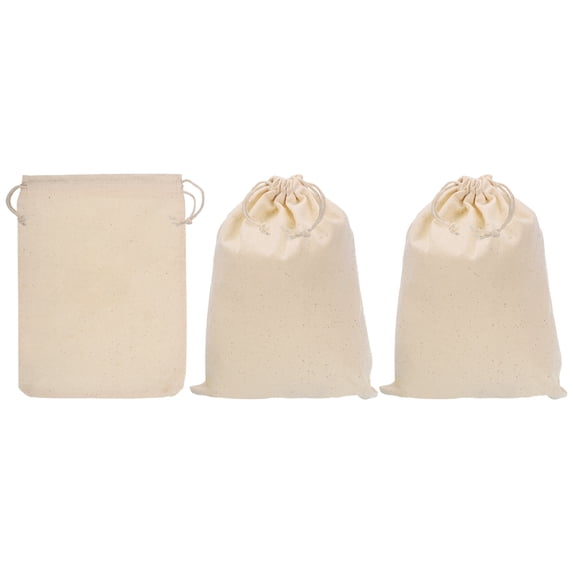 REGALWOVEN Coin Sacks Bag Bank Deposit Change Transit Bags with Drawstring 12"x8"