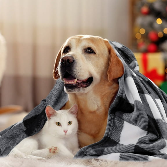 PiccoCasa Decorative Checkered Buffalo Plaid Flannel Fleece Throw Blanket Black and White Pet (30" *40")