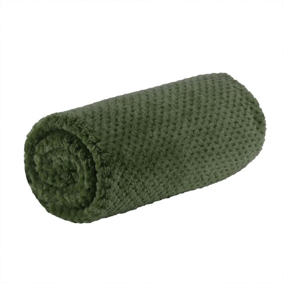 REGALWOVEN Flannel Fleece Blanket for Sofa or Bed, Army Green 30"x40"