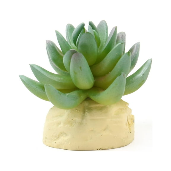 REGALWOVEN Green Plastic Cactus Plant Terrarium Reptile Tank Habitat for Reptiles