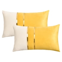 REGALWOVEN Pack of 2 Velvet Throw Pillow Covers Soft Decorative Square Cushion Covers for Sofa Living Room Home Decor Yellow 20 x 12 Inch