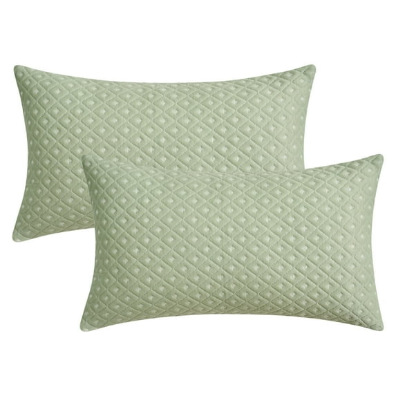 REGALWOVEN Set of 2 Throw Pillow Covers Decorative Soft Modern Geometric Couch Cushion Cases for Living Room Sofa Decor Green 12" x 20"