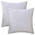 thumbnail image 1 of REGALWOVEN Set of 2 Throw Pillow Covers Decorative Soft Modern Geometric Couch Cushion Cases for Living Room Sofa Decor Light Gray 20" x 20", 1 of 6