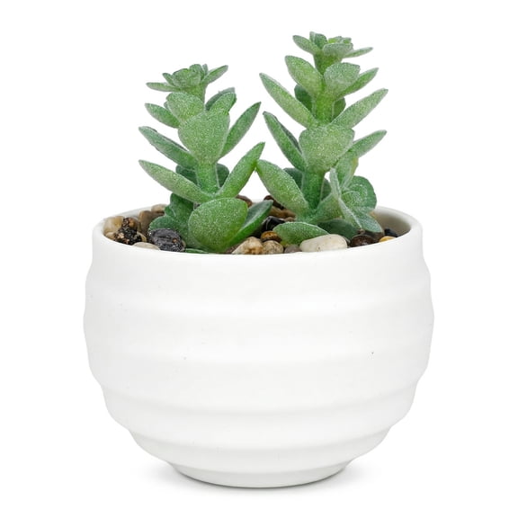 REGALWOVEN Small Artificial Succulents in White Pots, Realistic Faux Potted Plants for Home Office Desk Shelf 3.14 in Jade Stem Light Green