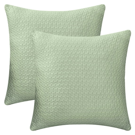 REGALWOVEN Soft Throw Pillow Covers Set of 2, Modern Decorative Geometric Cushion Cases for Couch Living Room Home Decor Green 20" x 20"