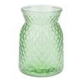 thumbnail image 1 of REGALWOVEN Wide Mouth Glass Vase, Thickened Flower Vase for Centerpieces, Clear Hydroponic Planter, for Home Office Decor Grass Green 4.5"L x 4.5"W x 6.3"H, 1 of 7
