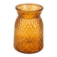 thumbnail image 1 of REGALWOVEN Wide Mouth Glass Vase, Thickened Flower Vase for Centerpieces, Clear Hydroponic Planter, for Home Office Decor Amber 4.1"L x 4.1"W x 6.1"H, 1 of 5
