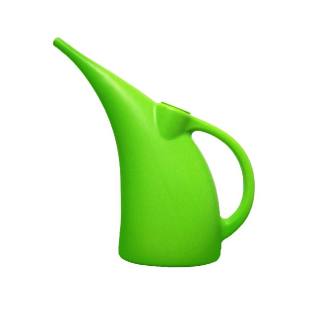 REGIS Watering Can for Indoor Plants, Small Watering Cans with Long
